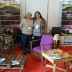 Expo Mueble x Mayor