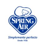 logo spring
